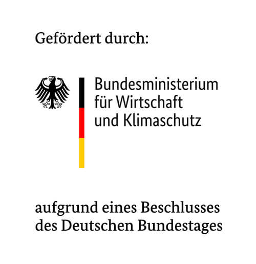 BMWK Foerderung Logo